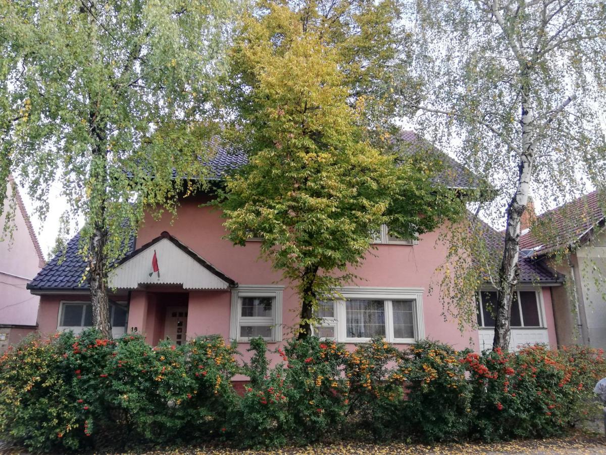 Balogh Vendeghaz Hotel Szeged Exterior photo