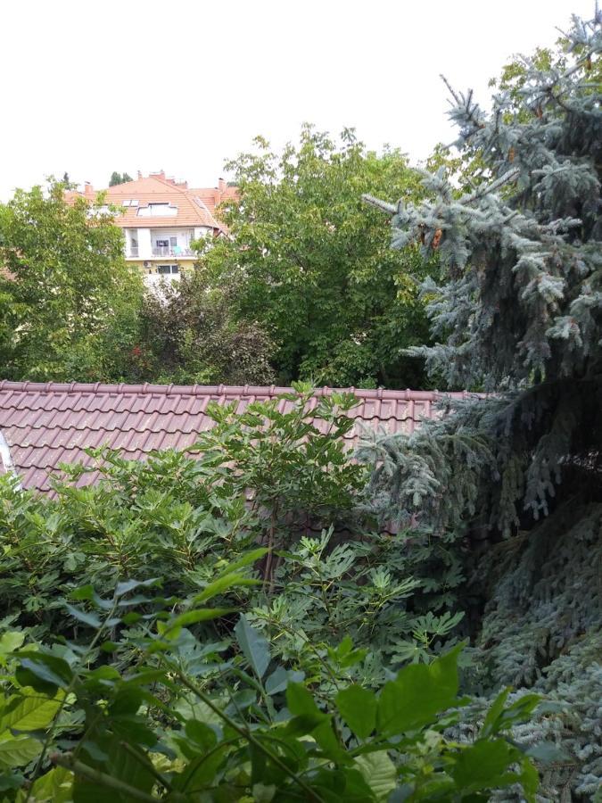 Balogh Vendeghaz Hotel Szeged Exterior photo